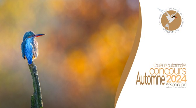 Concours Automne 2024 : Couleur et Atmosphère automnales