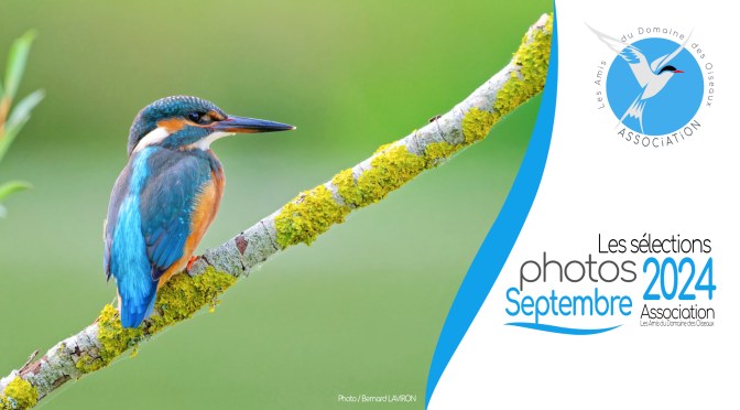LES SÉLECTIONS PHOTOS SEPTEMBRE 2024