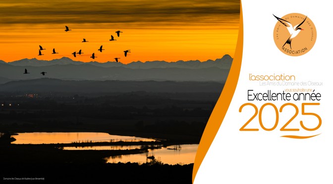 TOUS NOS MEILLEURS VŒUX POUR 2025!