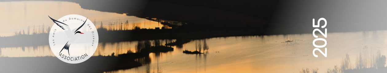 Les Amis Du Domaine Des Oiseaux