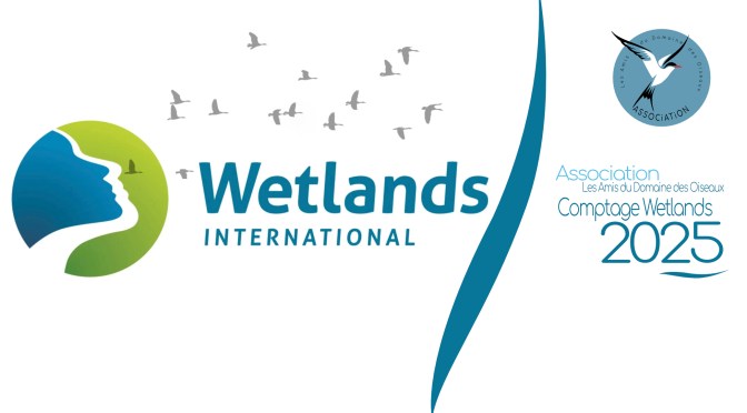 Comptages Wetlands 2025 – Domaine des Oiseaux