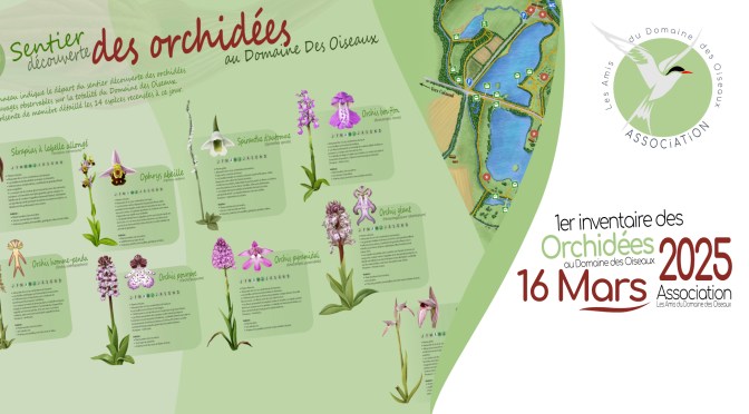 1er inventaire des Orchidées du Domaine des Oiseaux de Mazères. 16 mars 2025