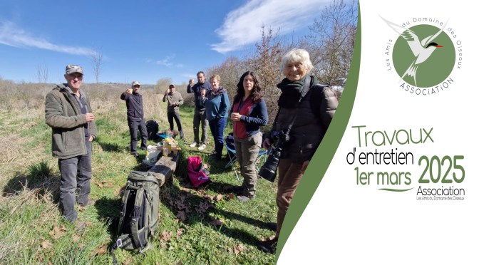 Travaux d&rsquo;entretien au Domaine des Oiseaux le 1er mars 2025