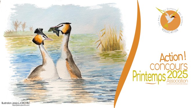 Concours Printemps 2025