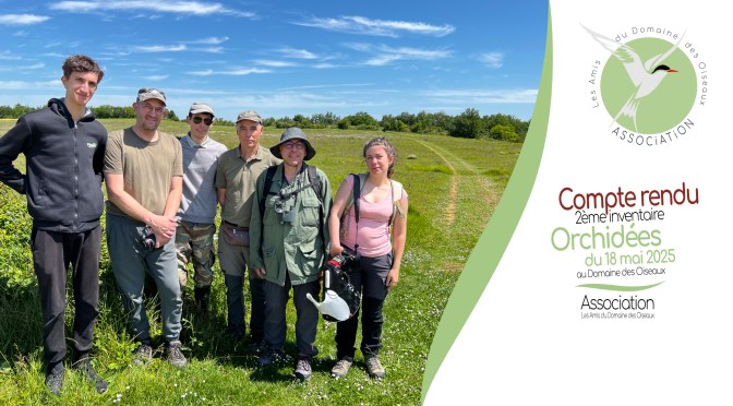 Compte rendu du 2ème inventaire des Orchidées du Domaine des Oiseaux de Mazères du 18 mai 2025.